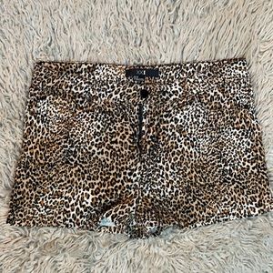 Cheetah Shorts!